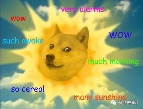 当年只是嘲讽比特币的狗狗币,现在居然市值16亿美元