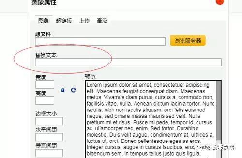 「seo优化培训」细节决定网站排名,文章排名百度首页
