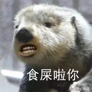 「叶胜超seo基础教程」青岛seo培训被严重低估网络营销核心技能