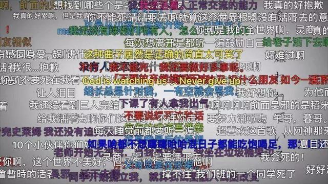 「红桥网」郴州seo用户破亿背后的文化融合与冲突